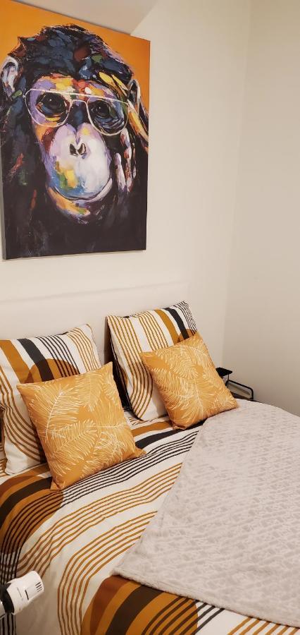 Triangle D'Or - Calme Et Cosy, Appartement 1 Chambre Saint-Quentin  Exterior foto